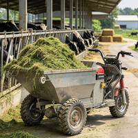 Tricycle électrique autoporté en acier inoxydable pour le transport de mortier, de briques, de cendres, de fumier agricole et d'aliments pour animaux