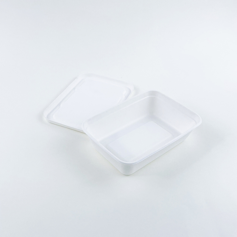 Disposable Sugarcane Tableware Compostable Biodegradable Bagasse