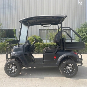 Voiturette de golf électrique puissante 3500W, 2 places, 60V, 38km/h, carrosserie ouverte, pour manoir privé, <span class=keywords><strong>club</strong></span> de golf, tourisme - Product Image 4