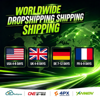 Agent professionnel de dropshipping Shopify |   Solution de distribution tout-en-un