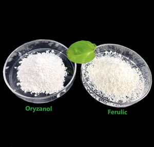 Suministro RICI ácido ferúlico <span class=keywords><strong>natural</strong></span> Extracto de salvado de arroz 98% polvo de ácido ferúlico puro Precio de ácido ferúlico a granel - Product Image 4