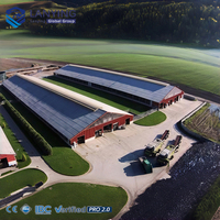 Estructura de Acero Prefabricada para Granjas, Nave Ganadera de Gran Tamaño, Diseño de Espacio Abierto para Almacenamiento de Ganado, Suministro de Fábrica