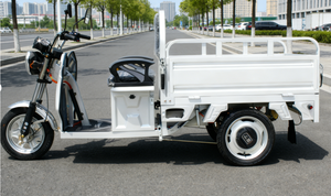 <span class=keywords><strong>Vélo</strong></span> électrique 3 roues tricycles adulte tricycle électrique camping-car tricycle passager avec <span class=keywords><strong>cargo</strong></span> - Product Image 4