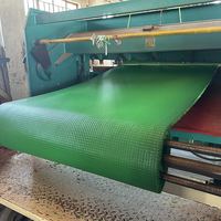 Línea de Producción de Extrusión de Alfombras de Césped PE de Alta Velocidad con Caja de Engranajes PLC de un Solo Tornillo para Uso en Jardines Domésticos, Granjas y Equipos de Cría
