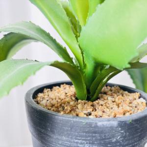 Maceta de Plástico con Imitación Realista de Aloe <span class=keywords><strong>Vera</strong></span>, Planta en Maceta para el Día de San Valentín, Decoración de Mesa para el Hogar, Arreglo de Vegetación Verde - Product Image 5