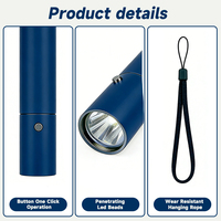 Lampe de photothérapie LED portable 1072nm infrarouge proche avec batterie intégrée pour usage domestique