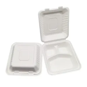 Eco Friendly Takeaway Paper Lunch Box Sugarcane Rectangular Clamshell Biodegradable Food Container With Lid