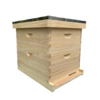 Caja de Colmena Langstroth Profunda de Madera de Abeto y Pino, Kit Profesional de Apicultura