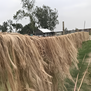 MANUFACTURE <b>TEXTILE</b> GOODS WITH the BEST <b>MATERIAL</b> PRICES- DRIED BANANA FIBER EXPORTED in BULK - Product Image 1