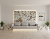 Quartzite de Patagonie Exotique : Textures Cristallines Translucides Ivoire & Ambre pour Comptoirs Rétroéclairés et Murs Décoratifs