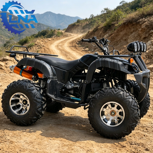LNA Four Wheeler <strong>Quad</strong> Bikes for Adults 250cc Fun Thrilling <strong>Rental</strong> Use - Product Image 2