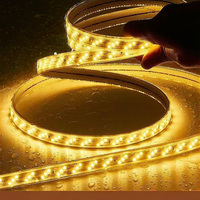 Bande LED extérieure étanche de haute qualité 220V 5730 120 LED double ligne avec gaine en silicone et corps en aluminium IP65 pour aménagement paysager