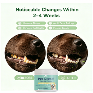 Poudre Nettoyante Dentaire pour Animaux de Compagnie Marque Privée OEM - Élimine la Plaque, Prévient le Tartre, Protège les Gencives pour Chiens et Chats - Dents Propres - Product Image 4