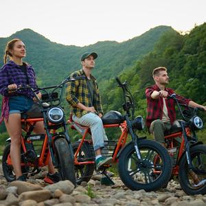 Bicicleta Eléctrica con Llantas Gruesas de 20 Pulgadas y Cuadro de Acero de Alto Carbono, Bicicleta Eléctrica para Todas las Estaciones, para Pasear por la Playa y la Nieve - Product Image 3