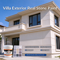 Revêtement mural en pierre véritable haute dureté, peinture acrylique texturée anti-salissure, pulvérisable, pour surface en béton extérieure