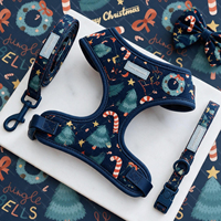 Ensemble Harnais de Noël pour Chien OEM ODM, Harnais Anti-Traction Rembourré, Harnais pour Chien Personnalisé avec Laisse et Collier, Nœud Papillon Inclus, Vente en Gros