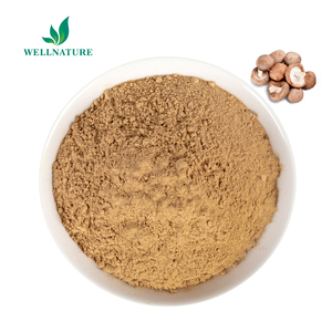 Original HALAL Certificate Supplement Organic AHCC <strong>Powder</strong> Natural AHCC Mushroom <strong>Extract</strong> <strong>Extract</strong> - Product Image 2