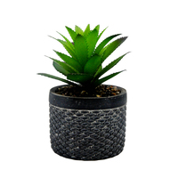 Cache-pot créatif moderne en ciment pour plantes succulentes, décoration d'intérieur, pots en céramique pour plantation de jardin, jardinière personnalisable