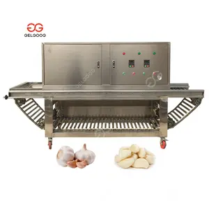 Automatic Pneumatic Press Maker Dry Garlic Clove Separation Peeling Machine Garlic Peeler Video