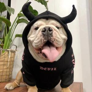 Wholesale Fashion Funny Custom Warm Soft Cotton Pet Clothes <span class=keywords><strong>Small</strong></span> Dog Sports Sweater Hoodies - Product Image 2