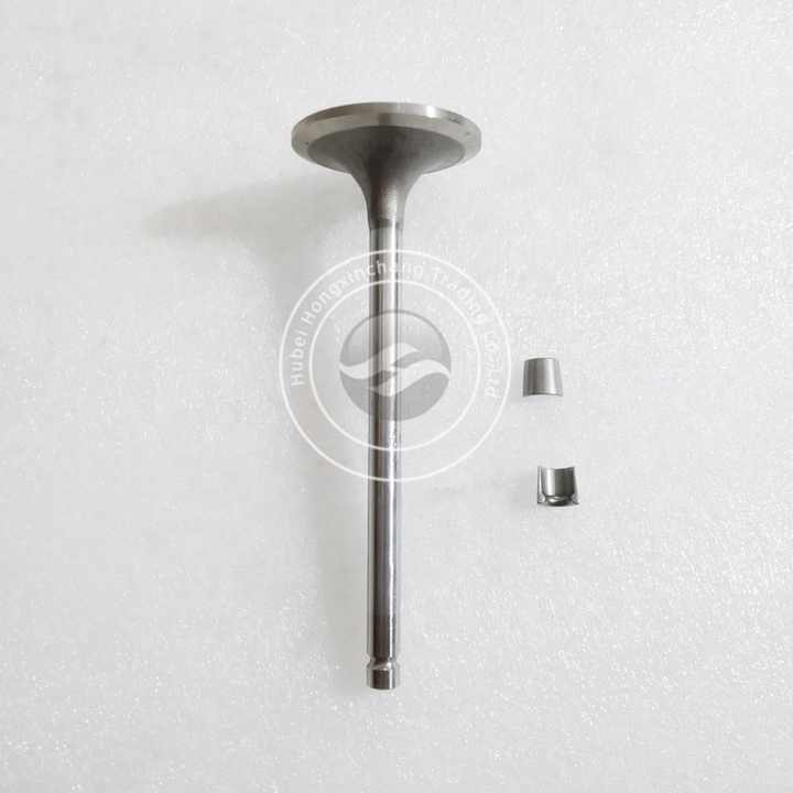 6BT5.9 Natural Gas Engine Parts Intake Valve 3922713 3802658 