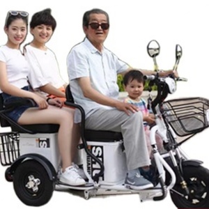 48v/60v 600w Adult Electrical Trike 3 Wheel Electric Tricycle - Product Image 2