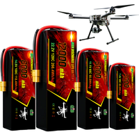 Batterie Lipo légère haute décharge 100C OEM 3S 4S 6S 8S 12S 11.1V 22.2V 10000mAh pour drone de course FPV et UAV