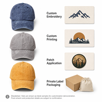 Gorra de Béisbol Personalizada de Algodón Lavado, Suave, de Seis Paneles, con Visera Curva, Ajustable, Informal