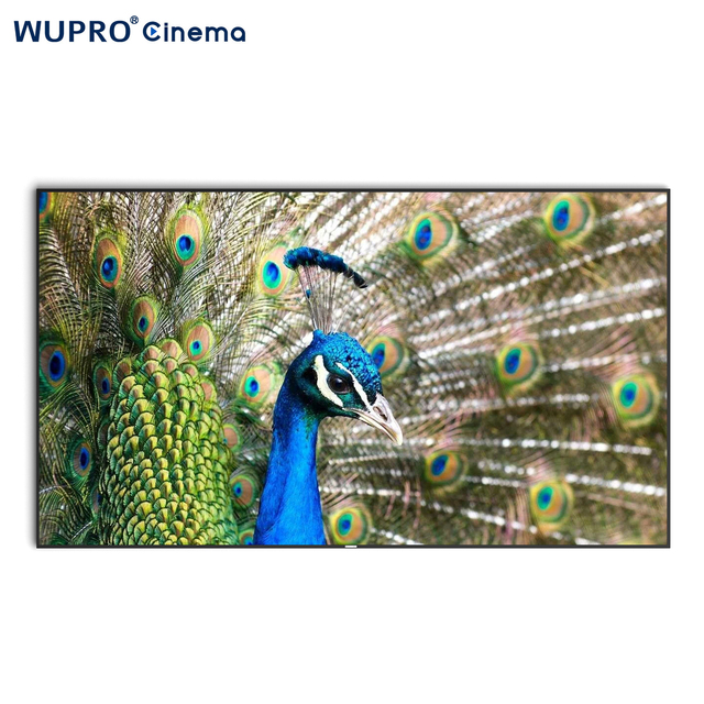 2024 New Launched /OEM 120 Inch Fresnel ALR 8K 16:9 PET Fixed Frame Home Theater Projector Screen
