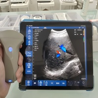 Échographe Doppler portable noir et blanc pour vétérinaires, modèle S80PRO, classe II, garantie 1 an, disponible en ligne en Chine