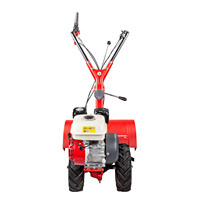 EUROSYSTEMS Cultivateur Rtt3 2 vitesses 2 moteurs inversés OHV Rotavator 60 Cm Mini Motoculteur puissant Motoculteur Motoculteur
