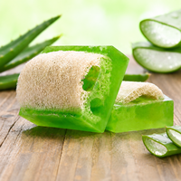 Savon Solide Hydratant Visage & Corps à l'Aloès Vera Marque Blanche avec Extrait Naturel d'Aloès pour Peaux Sensibles – Apaisement et Hydratation