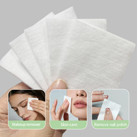 Nouvelles Lingettes en Coton Non Tissé à Haute Absorption avec Toucher Doux, Sans Peluches, pour le Nettoyage des Yeux et des Lèvres (200 Lingettes)