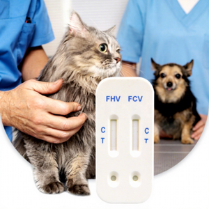 Экспресс-тест JCMED для выявления антигенов FHV и FCV у кошек с ветеринарными диагностическими принадлежностями и тест-полосками - Product Image 1