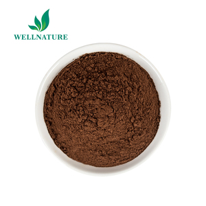 Extrait de champignon de haute qualité, champions, phelinus linteus, 1 pièce - Product Image 3