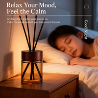 Nouvel ensemble diffuseur de parfum pour la maison, diffuseur d'huiles essentielles longue durée pour la chambre et le salon