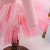 Ensemble de bandeaux et jupes en velours à manches longues Robe en tulle pour filles Robe pour la danse et la couronne Jupe tutu en tulle Jupes de ballet