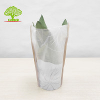 Manchon de plantes en papier pour herbes, emballage en papier torsadé, Semi-transparent, pour fleurs en papier