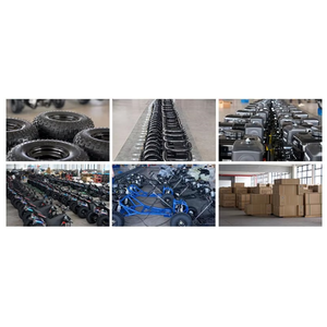 Karting tout-terrain haute performance en promotion, robustes karts pour adultes, pour les aventures hors route et les compétitions de course en plein air - Product Image 6