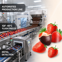 Gezonde Diepvries Traktatie Diepvries Chocolade Fruit 100% Natuurlijke Fruit Chocolade Roomvulling Klaar om te eten Zomerfeest Geen knoeien