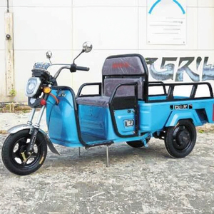 รถ<span class=keywords><strong>สามล้อ</strong></span><span class=keywords><strong>ไฟฟ้า</strong></span>คุณภาพสูงสำหรับผู้ใหญ่ ขายดีจากโรงงาน ที่นั่งคู่ รับน้ำหนักได้มาก กำลังไฟ 1000W/500W ราคาถูก - Product Image 1