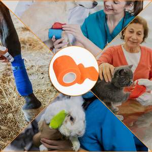 Fabricante de bandagem veterinária médica com baixo MOQ, bandagem coesa colorida personalizada para animais de estimação, impressão não tecida ecológica - Product Image 5