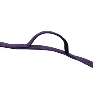 Laisse de luxe en Nylon néoprène à Double poignée pour chien, robuste et tactique, avec pince grenouille dorée - Product Image 4