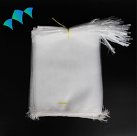 Sacs de protection pour raisins en HDPE anti-insectes avec cordon de serrage pour protéger les graines de plantes, les fruits, les fleurs, les légumes 25*35cm
