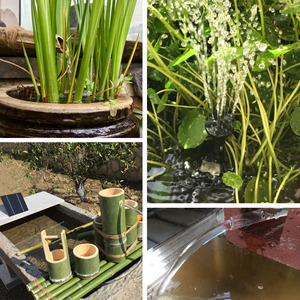 Jia Tong Solar Water Pump JT-1020 1.2W DC <b>Floating</b> Fountain With Accessories For Garden Pond Use - Product Image 2