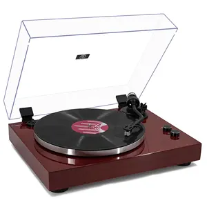 Cực kỳ cao cấp Kim Loại Tonearm Vinyl ghi Player với BT đầu ra và tự gắn nhôm Die-cast kích thước đầy đủ Platter