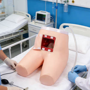 Modelo de entrenamiento de defecación asistida por enema de PVC avanzado DARHMMY para escuelas y hospitales de formación de enfermeras - Product Image 2