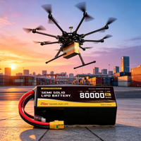 Baterai Drone UAV 80Ah 450Wh/kg, Paket Baterai Lipo Semi Solid State untuk Survei & Inspeksi Pemetaan Drone Industri
