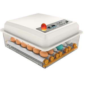 Incubateur miniature haute performance pour 16 œufs avec retournement automatique des œufs pour l'éclosion des oies, canards, oiseaux et poulets, nouvelle machine électrique - Product Image 5