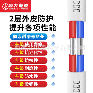 สายไฟอลูมิเนียม Jiayou แบบ BLVWB 2 แกน ขนาด 2.5 4 6 10 16 ตร.มม. สำหรับตกแต่งบ้าน - Product Image 1